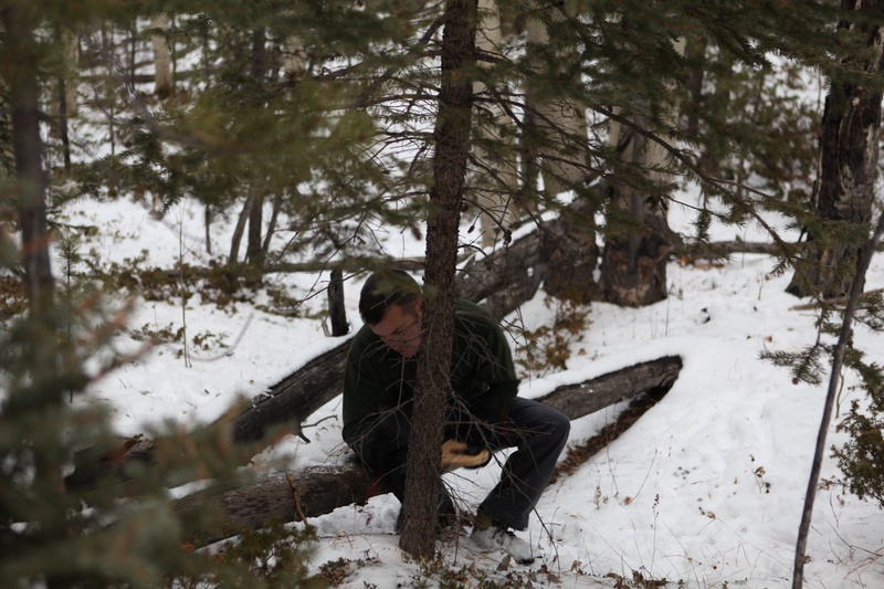 sawing_5284286420_o