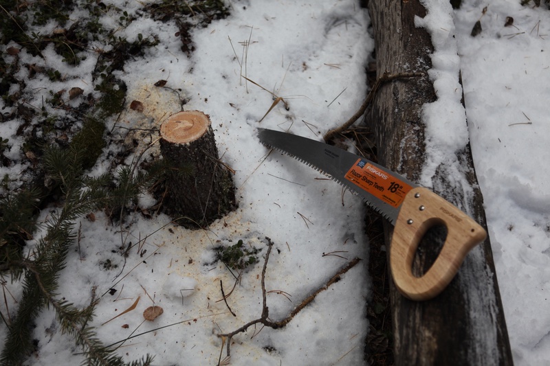 stump_5283689179_o